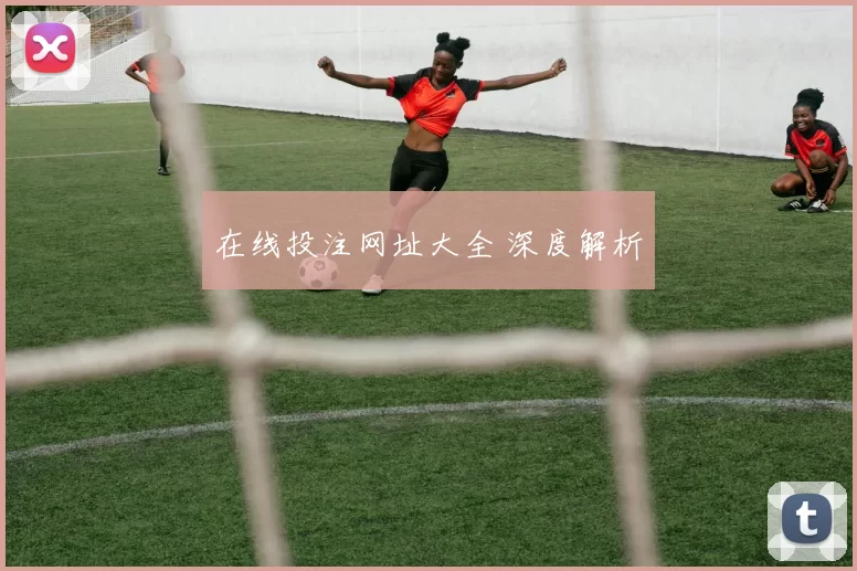 在线投注网址大全 深度解析