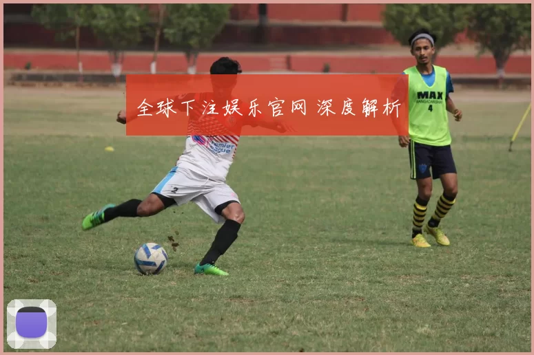 全球下注娱乐官网 深度解析