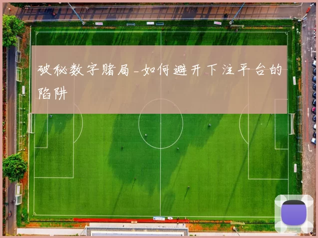 破秘数字赌局_如何避开下注平台的陷阱