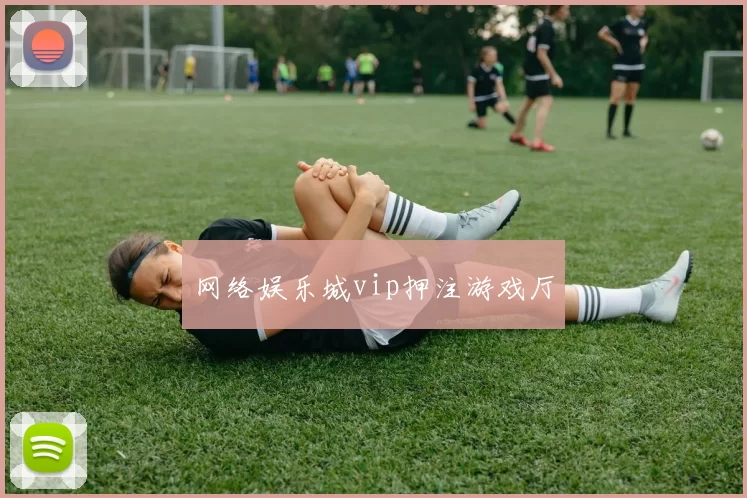 网络娱乐城vip押注游戏厅