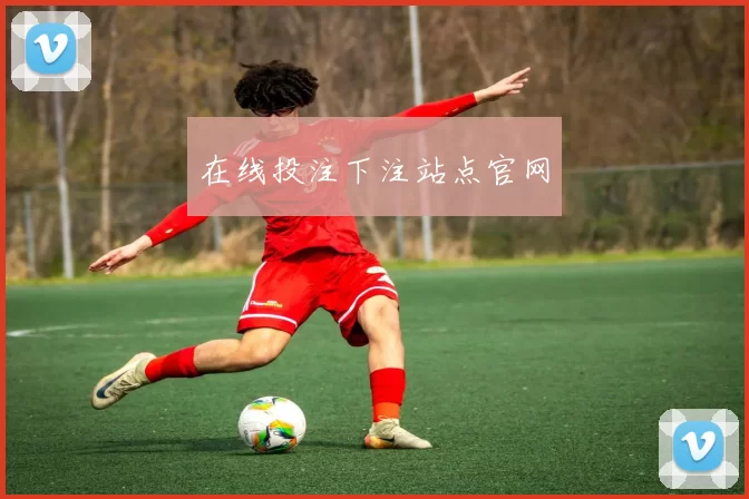 在线投注下注站点官网