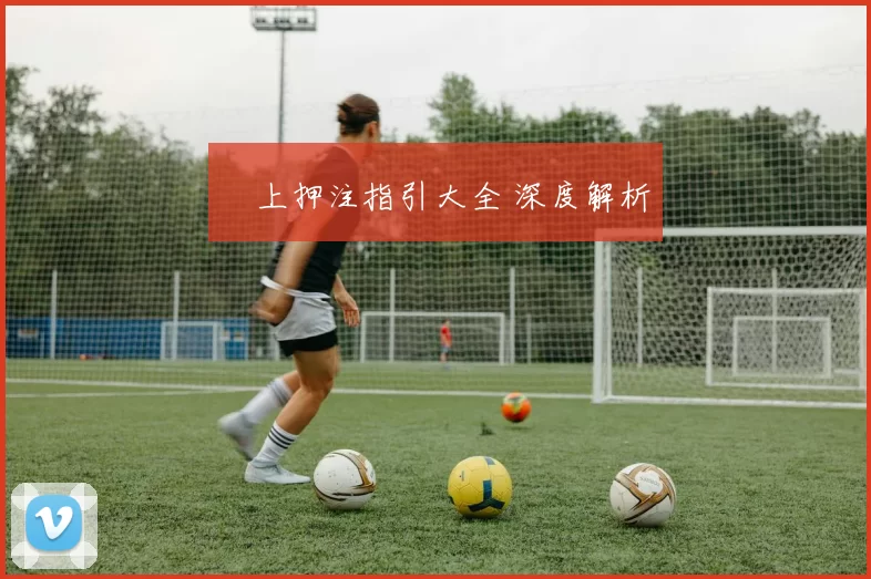 網上押注指引大全 深度解析