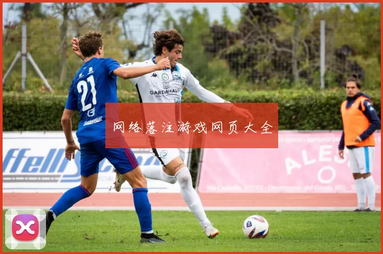 网络落注游戏网页大全