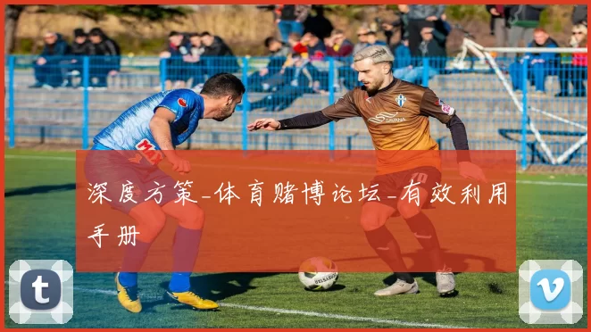 深度方策_体育赌博论坛_有效利用手册
