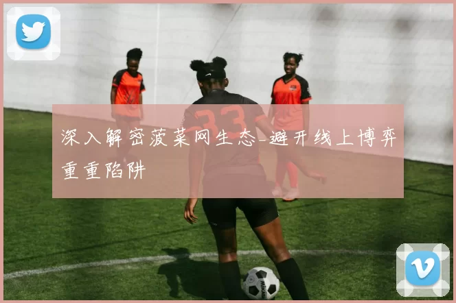 深入解密菠菜网生态_避开线上博弈重重陷阱